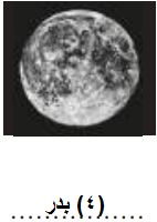 صورة 3